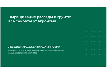 НИИДПО Надежда Лебедева — Выращивание рассады в грунте: все секреты от агронома 2024 слив
