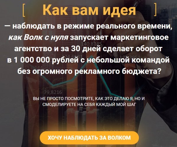 Волк Маркетинговое агентство шаг за шагом 2018 слив курса