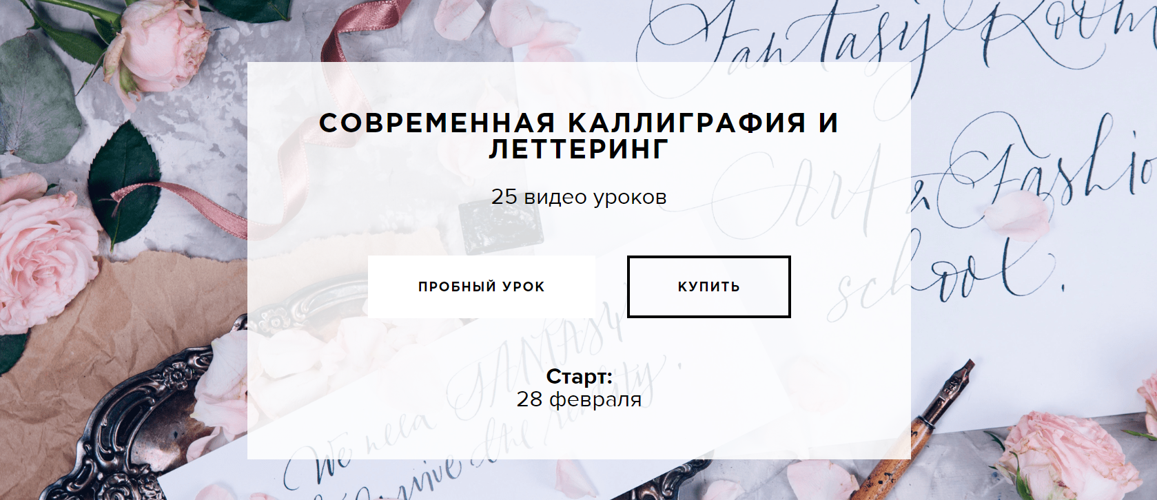 Саша Гога Современная каллиграфия и леттеринг 2019 слив курса