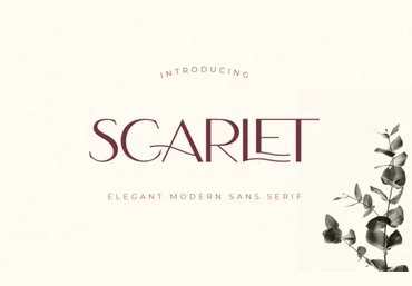 Creativefabrica Scarlet Font 2021 слив