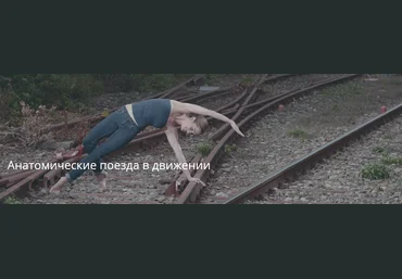 Artofmotion Анатомические поезда в движении 2023 слив