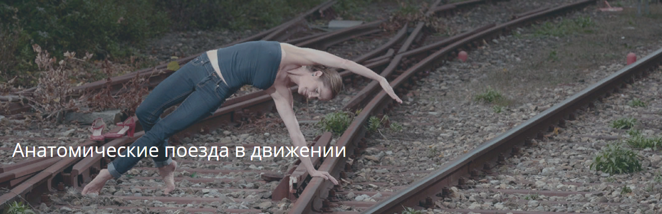 Artofmotion Анатомические поезда в движении 2023 слив курса
