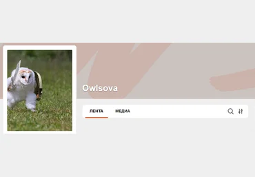 owlsova Инструкция по отзывам Avito даром почти 2024 скачать слив