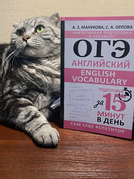 Светлана Орлова, Аида Манукова Англомастер Лексика для ОГЭ. Интерактивный курс 2025 слив курса