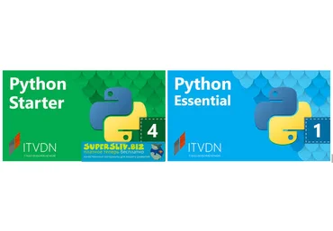 Starter и Essential Курсы ITVDN Python слив