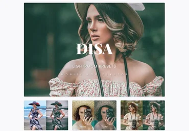 Elements.Envato Disa Lightroom Presets Dekstop and Mobile 2021 слив