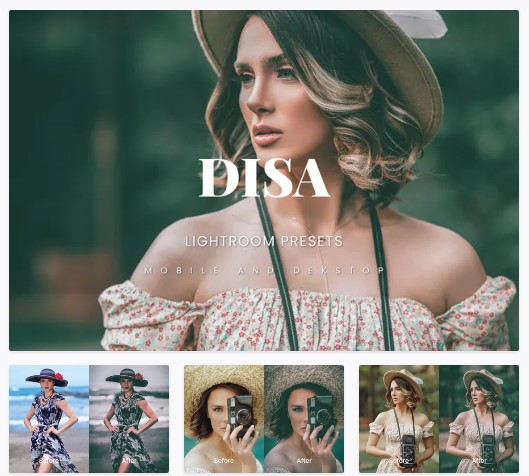 Elements.Envato Disa Lightroom Presets Dekstop and Mobile 2021 слив курса