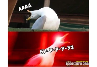 Абуз «Hukoki» 800₽/круг 27.06.2022 слив