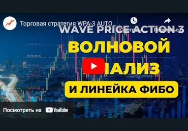 Дмитрий Эйлер Торговая система WPA-3 AUTO 2023 слив