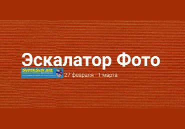 Галина Шевченко Эскалатор фото 2019 слив