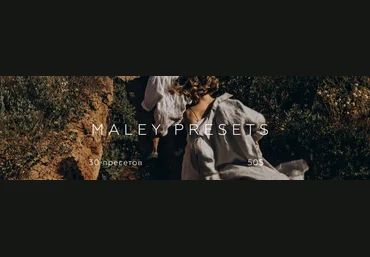Дима Малей Maley presets 2021 слив