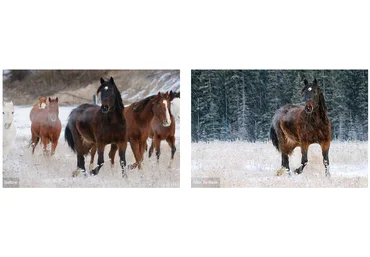 Topaz ReMask 5.0.0 - плагин для Photoshop слив