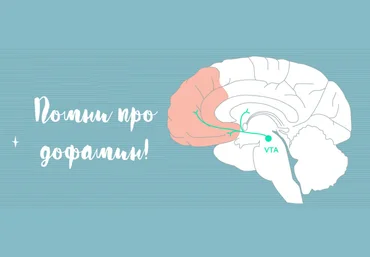 Андрей Беловешкин Здоровый дофамин 2018 слив
