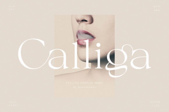 Creativefabrica Calliga Font 2021 слив курса
