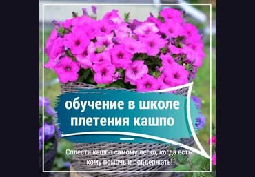 Снежана Чубыкина Мастерская Хуторянка Обучение в школе плетения кашпо 2024 слив