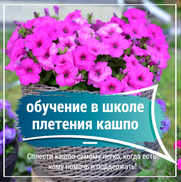 Снежана Чубыкина Мастерская Хуторянка Обучение в школе плетения кашпо 2024 слив курса