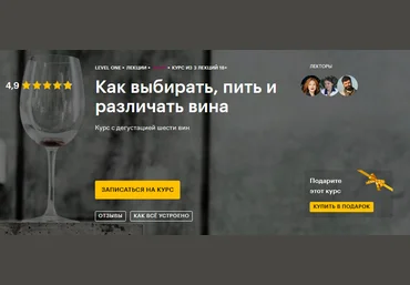 Level One Как выбирать, пить и различать вина 2020 слив