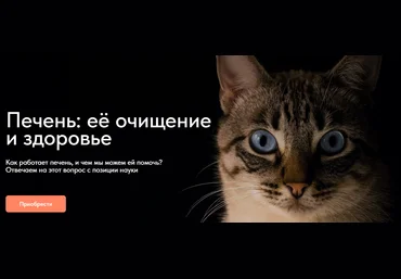Матвей Смирнов Печень: её очищение и здоровье 2024 слив