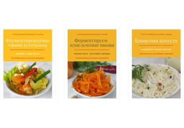 Fermenterra Серия «Ферментированные овощи» 2023 слив