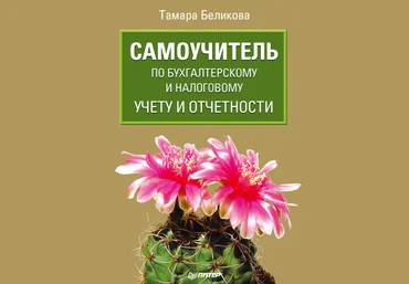 Самоучитель по бухгалтерскому и налоговому учету и отчетности - Беликова 2011 слив