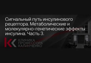 Клиника Калинченко Сигнальный путь инсулинового рецептора. Часть 3 2021 слив