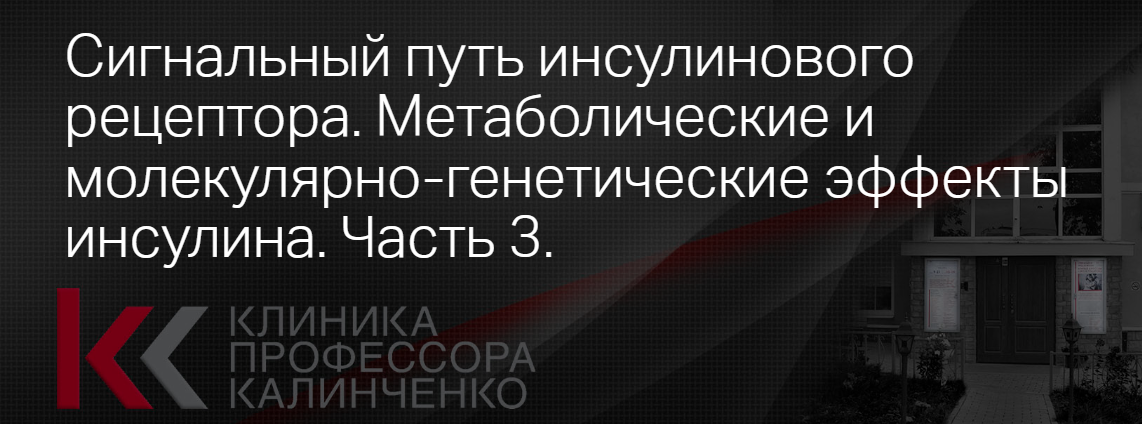 Клиника Калинченко Сигнальный путь инсулинового рецептора. Часть 3 2021 слив курса