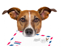 LetsExtract Email Studio 4.4 Lite Unlimited License For Free слив курса