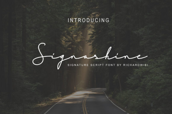 Сreativefabrica Signashine Font слив курса