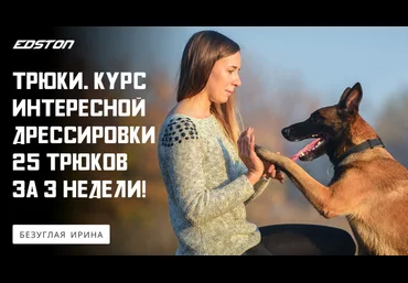 Ирина Безуглая Трюки. Курс интересной дрессировки. 25 трюков за 3 недели 2024 слив