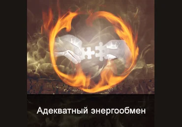 Ксения Меньшикова Адекватный энергообмен 2022 скачать слив