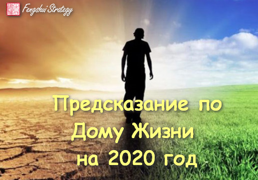 Юлия Полещук Предсказание по Дому Жизни на 2020 год слив курса
