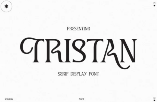 Fontbundles Tristan Font 2021 слив курса