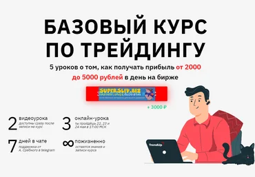 Артём Сребный Базовый курс по трейдингу на Московской бирже 2020 слив