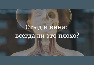 Смирнов Сергей Анатомия стыда и вины 2019 слив