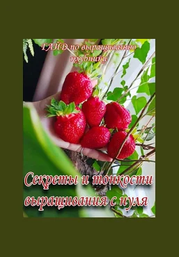Ягодный Дворик Гайд по выращиванию клубники 2025 слив
