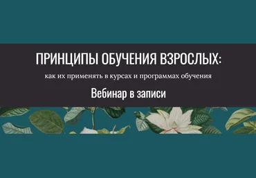 Елена Тихомирова Принципы обучения взрослых. Тариф Сам за себя 2025 скачать слив