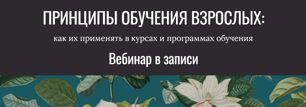 Елена Тихомирова Принципы обучения взрослых. Тариф Сам за себя 2025 слив курса