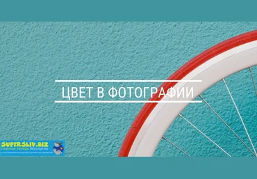 Photoplay Мария Климова - Цвет в фотографии 2020 слив