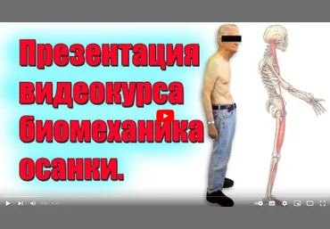 Владимир Кравцов Биомеханика осанки 2022 слив
