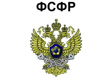 Вспомогательные материалы для подготовки к сдаче квалификационных экзаменов ФСФР базовый, 1.0, 5.0 слив