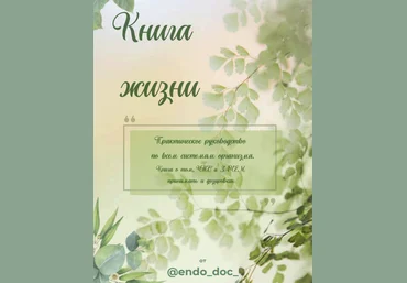 Лариса Чумак endo_doc_ Книга жизни 2024 слив