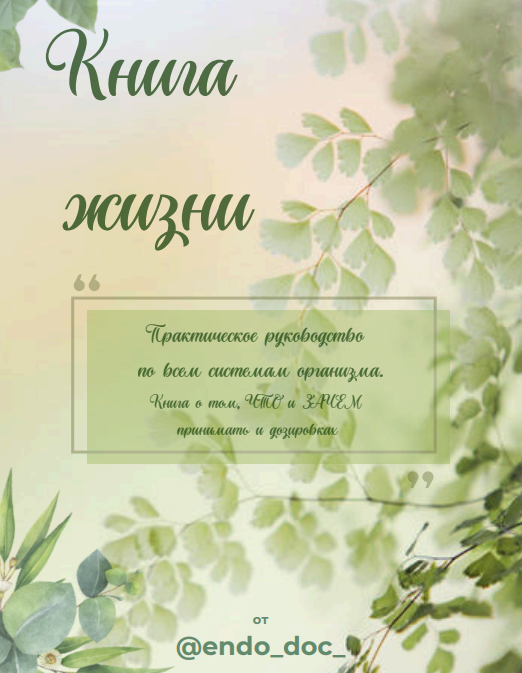 Лариса Чумак endo_doc_ Книга жизни 2024 слив курса