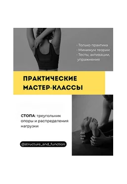 Александр Волоткевич Стопа: треугольник опоры и распределения нагрузки 2025 слив