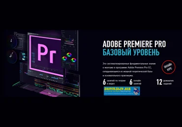 Дмитрий Ларионов Adobe Premiere Pro. Базовый уровень. Гибридный курс 2019 слив