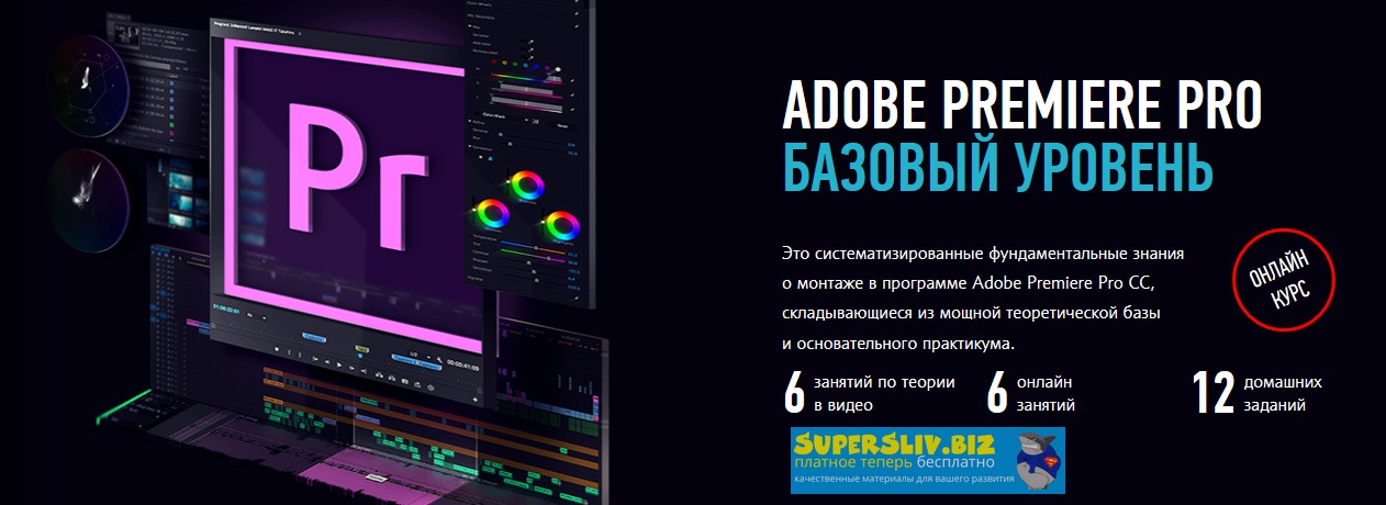 Дмитрий Ларионов Adobe Premiere Pro. Базовый уровень. Гибридный курс 2019 слив курса