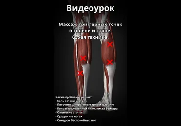 Артем Пак Массаж триггерных точек в голени и стопе 2024 слив