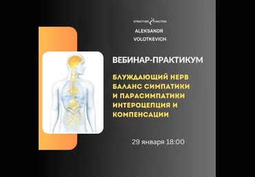 Александр Волоткевич Блуждающий нерв: баланс симпатики и парасимпатики 2025 слив