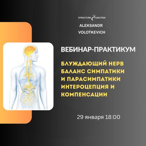 Александр Волоткевич Блуждающий нерв: баланс симпатики и парасимпатики 2025 слив курса