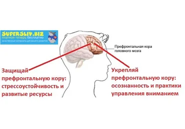 Андрей Беловешкин Курс Стресс. Осознанная стрессоустойчивость 2019 слив