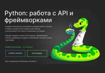 Слёрм Python: Работа с API и фреймворками 2022 слив